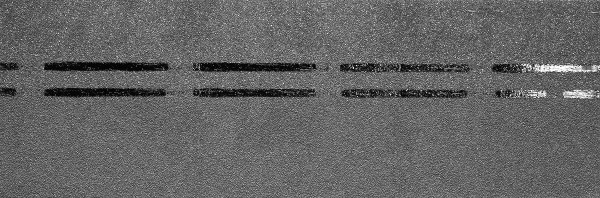 Коньково-карнизная черепица Docke Premium, черника купить в Юрьев-Польском