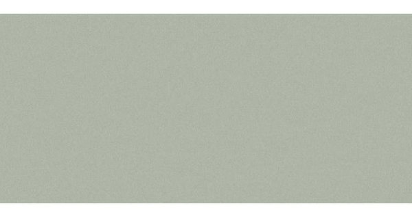 Сайдинг CEDRAL smooth (гладкий) С06 купить в Юрьев-Польском